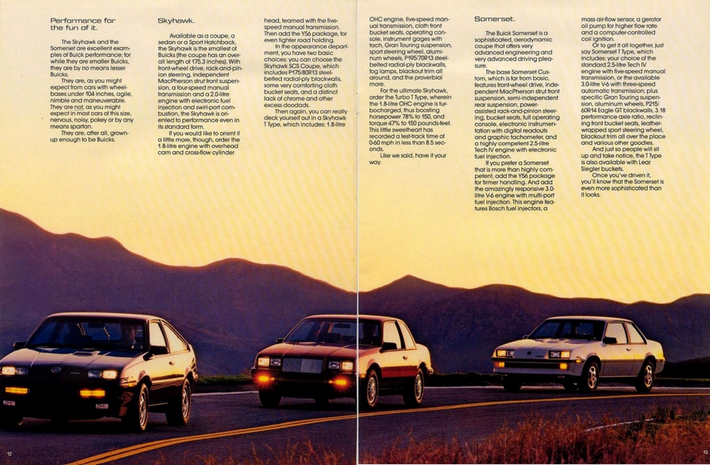 n_1986 Buick Performance-12-13.jpg